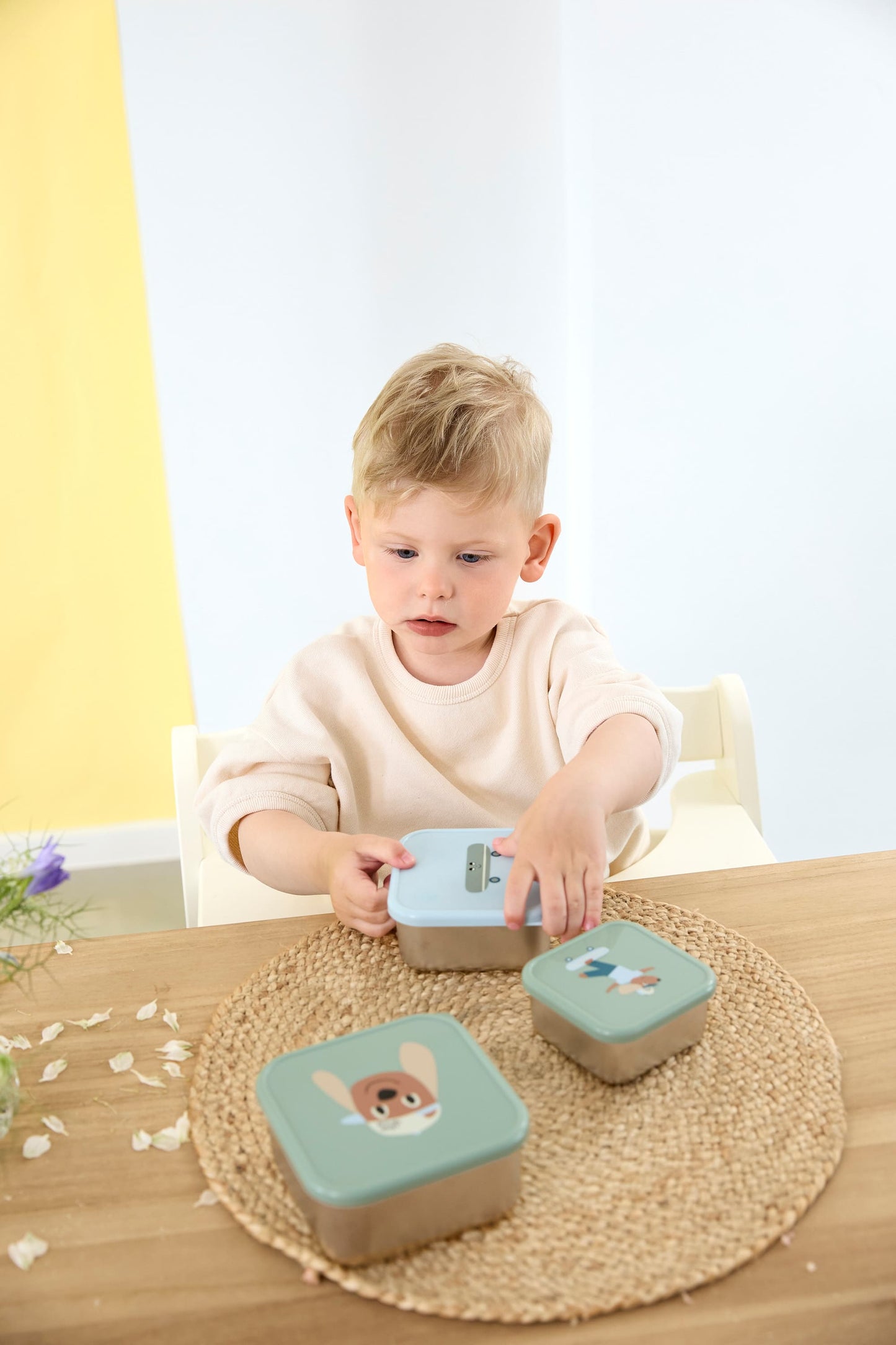 Snackbox Set - Tiny Team, Dog